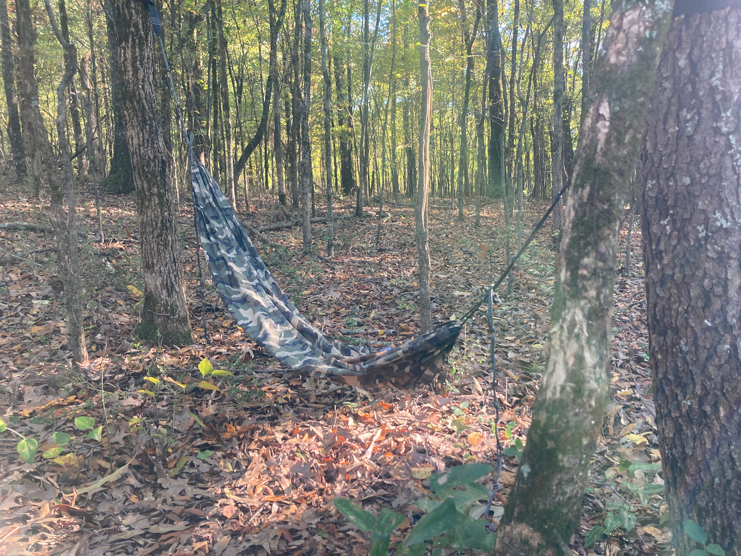 Short Hammock Hunter