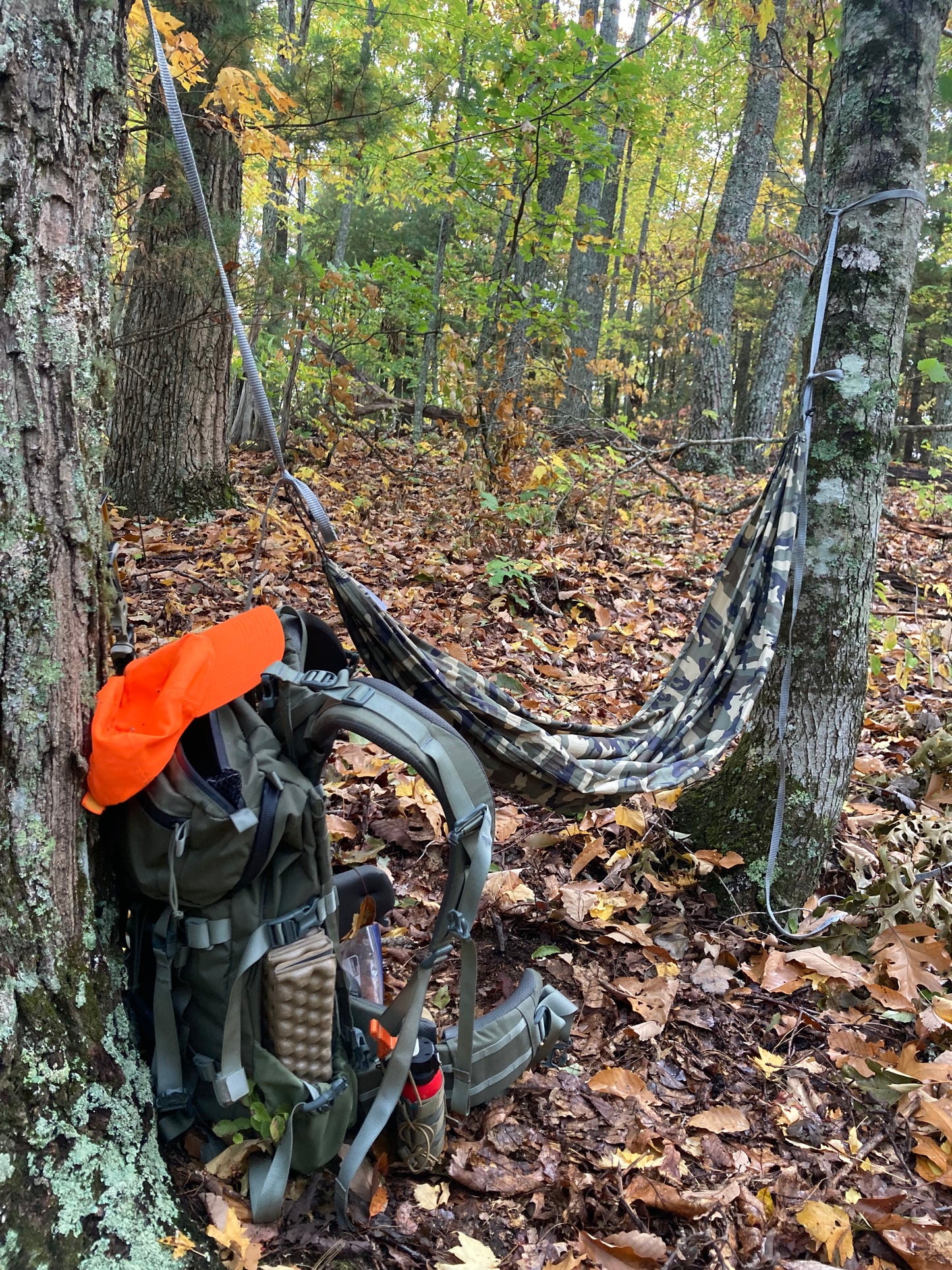 Short Hammock Hunter